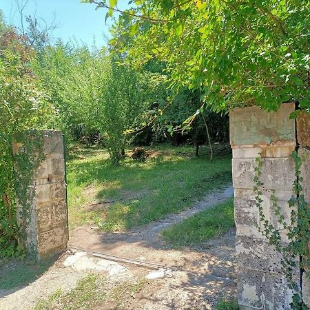 La Colline Aux Oiseaux, La Tranquillite Des Bois Villa Molieres-sur-Ceze Exterior photo