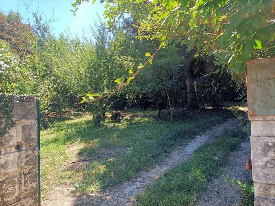La Colline Aux Oiseaux, La Tranquillite Des Bois Villa Molieres-sur-Ceze Exterior photo